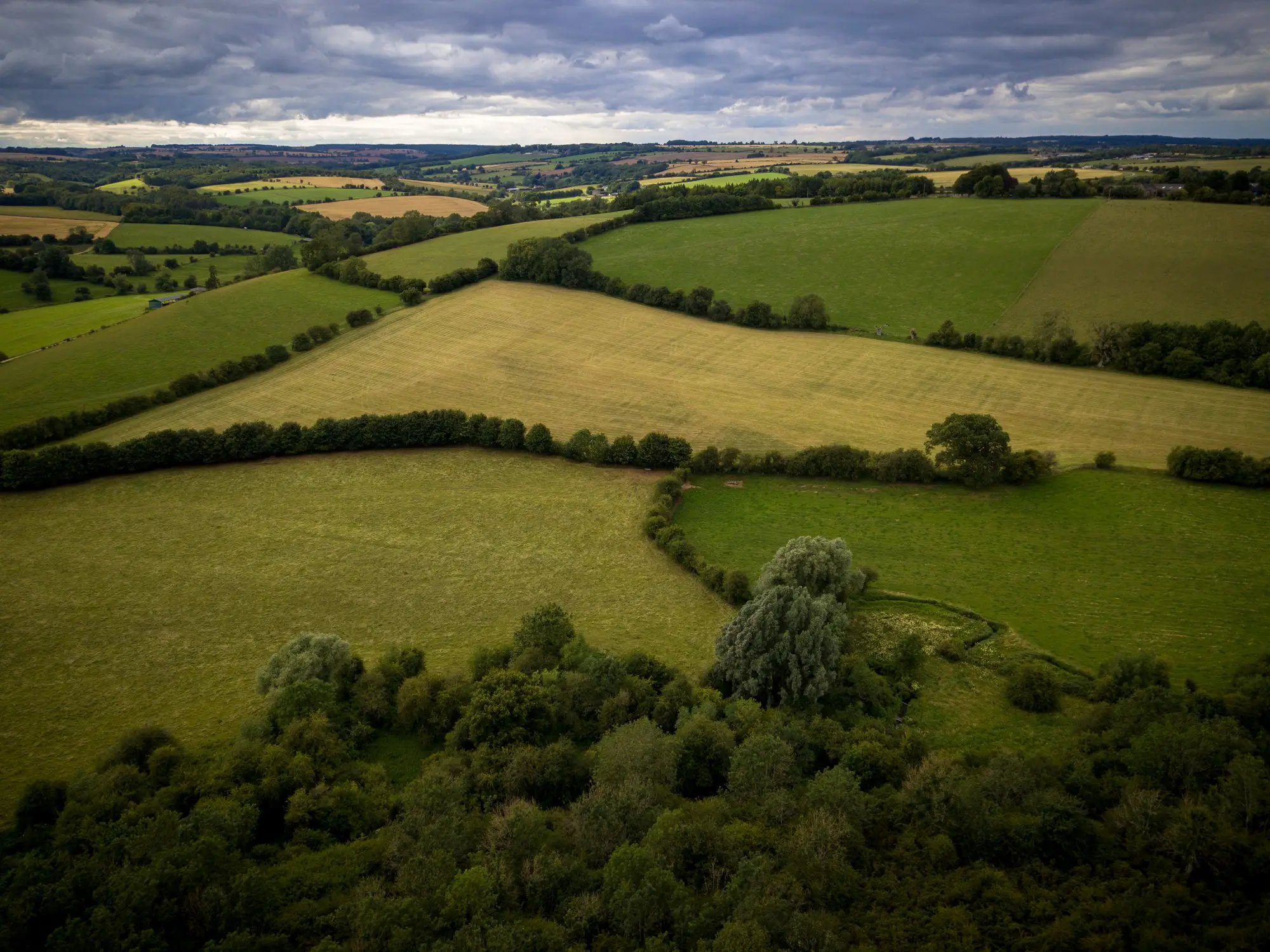 Grass fields split by hedgerows that run out from a block of broadleaf woodland, under a grey sky